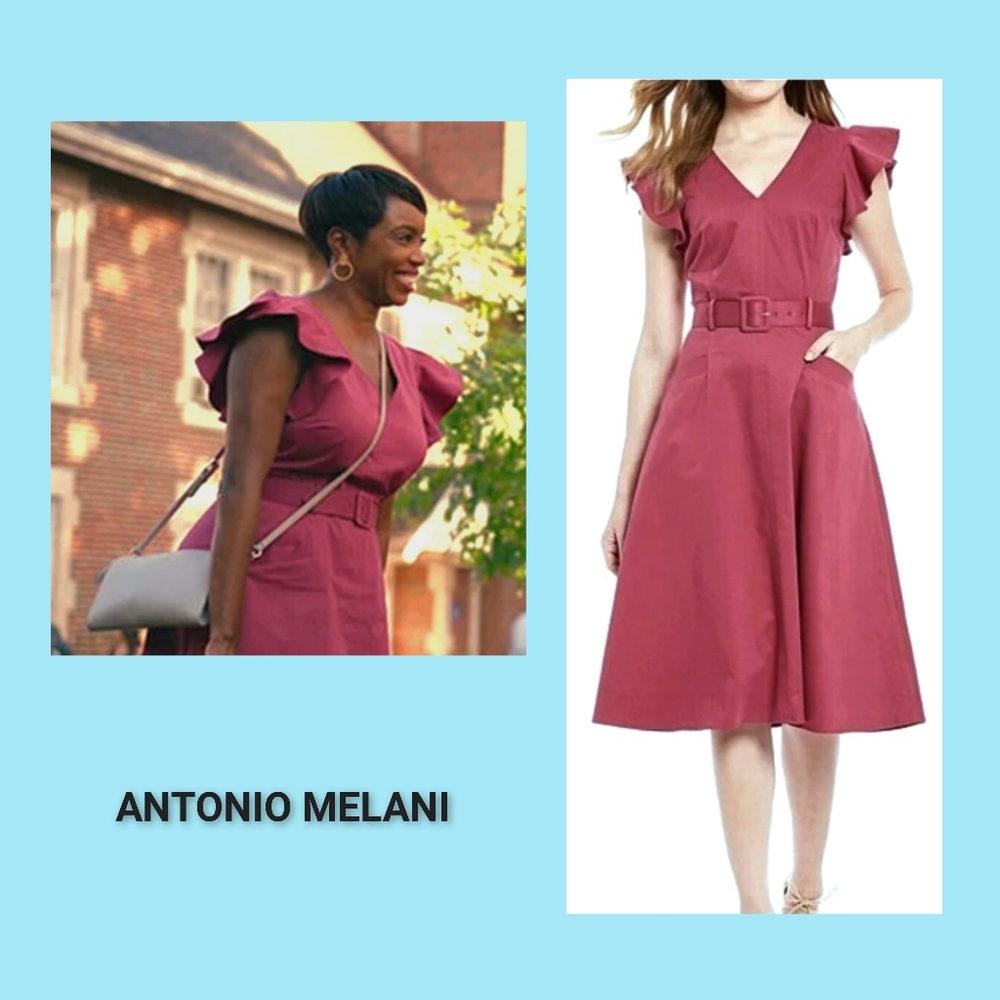 NWT Antonio Melani A-Style Dress ❤️